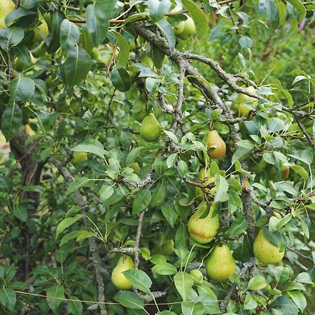 ホテル Slube An Den Teichen Hoher Flaeming *