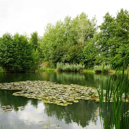 Slube An Den Teichen Hoher Flaeming ホテル *