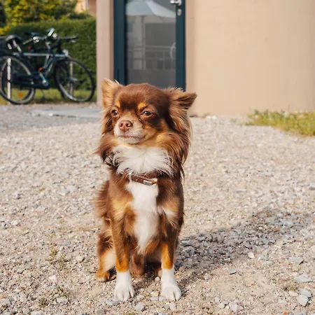 Slube 25 Teiche Hotel *