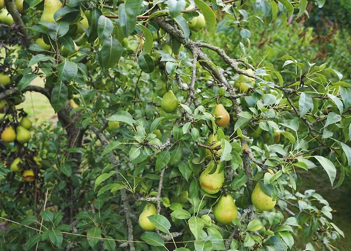 فندق Slube An Den Teichen Hoher Flaeming *