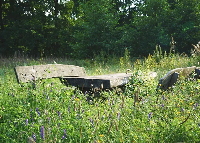 Slube An Den Teichen Hoher Flaeming Rottstock