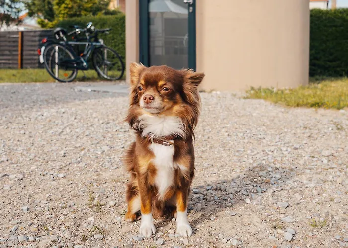 Slube An Den Teichen Hoher Flaeming فندق *